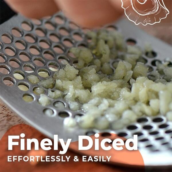 Special Offer Now-Stainless Steel Garlic Presser